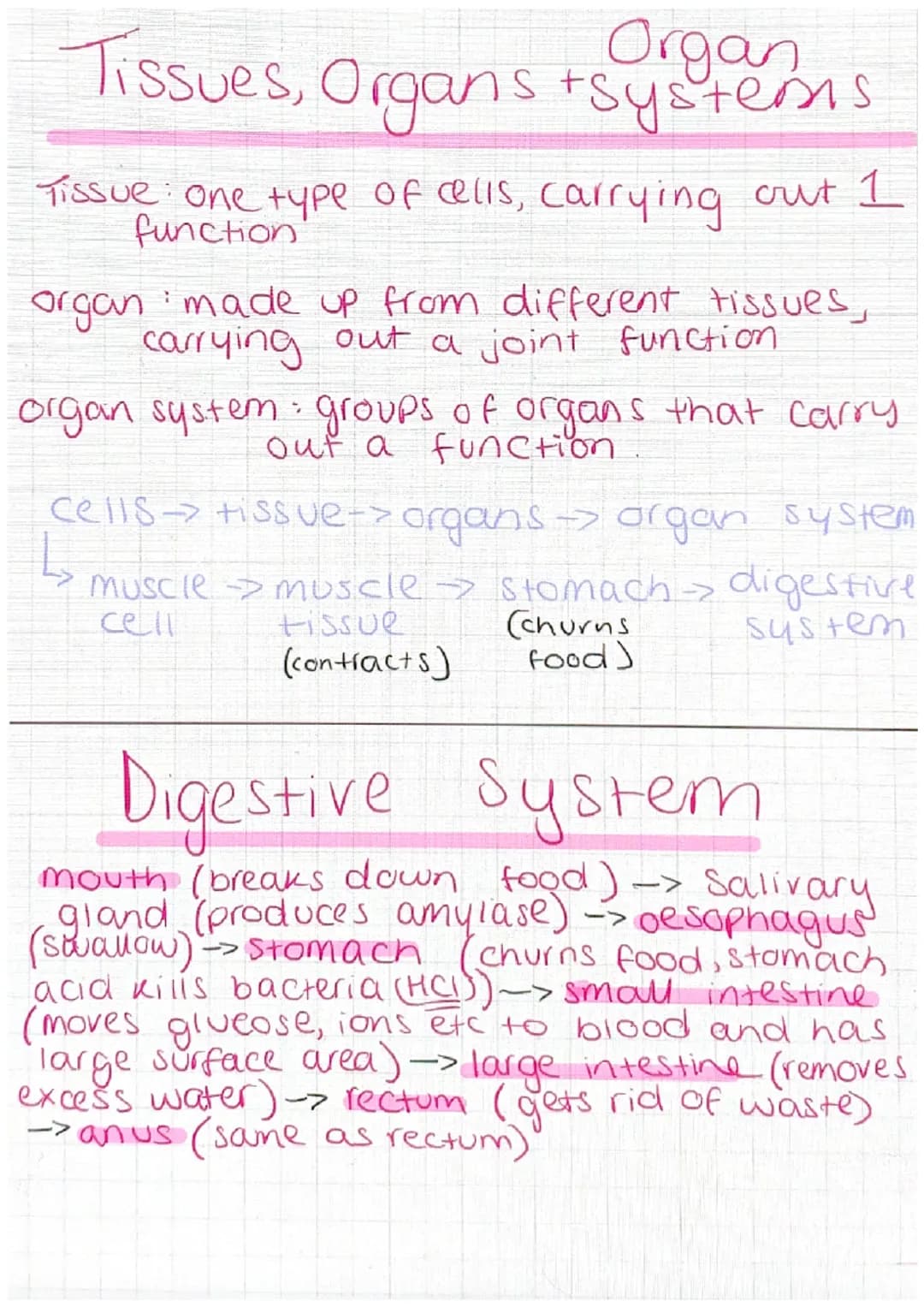 Animal Cell
nucleus-controls the activities of the cell
and contains genetic material
cytoplasm - most chemical reactions take
Place
cell me
