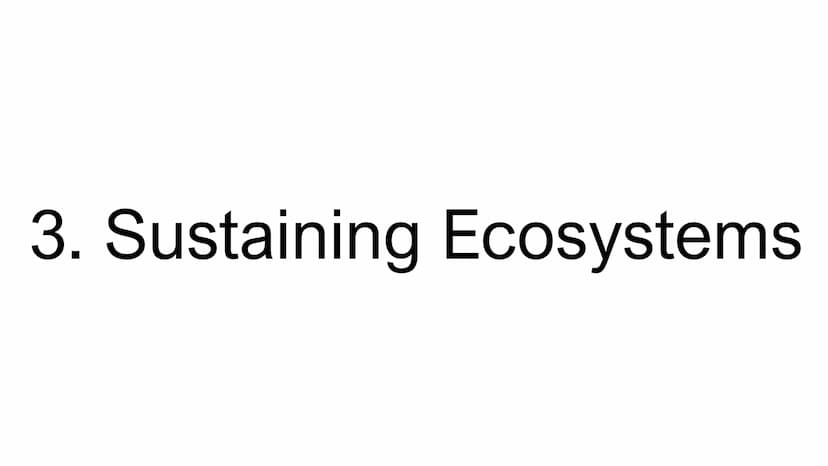 Paper 1: Ultimate
Revision Guide
Units
1. Global Hazards
2. Changing Climate
3. Sustaining Ecosystems
4. Distinctive Landscapes
5. Physical 