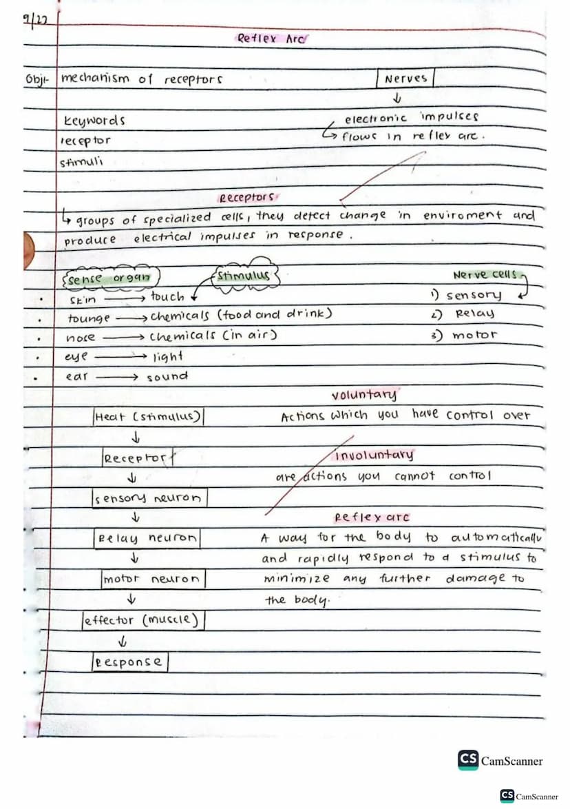 √2/9/22
obj: Define co-ordination and control
keywords
brain
spinal cord
voluntary action
Involuntary action
nerves
response
Stimulus (stimu