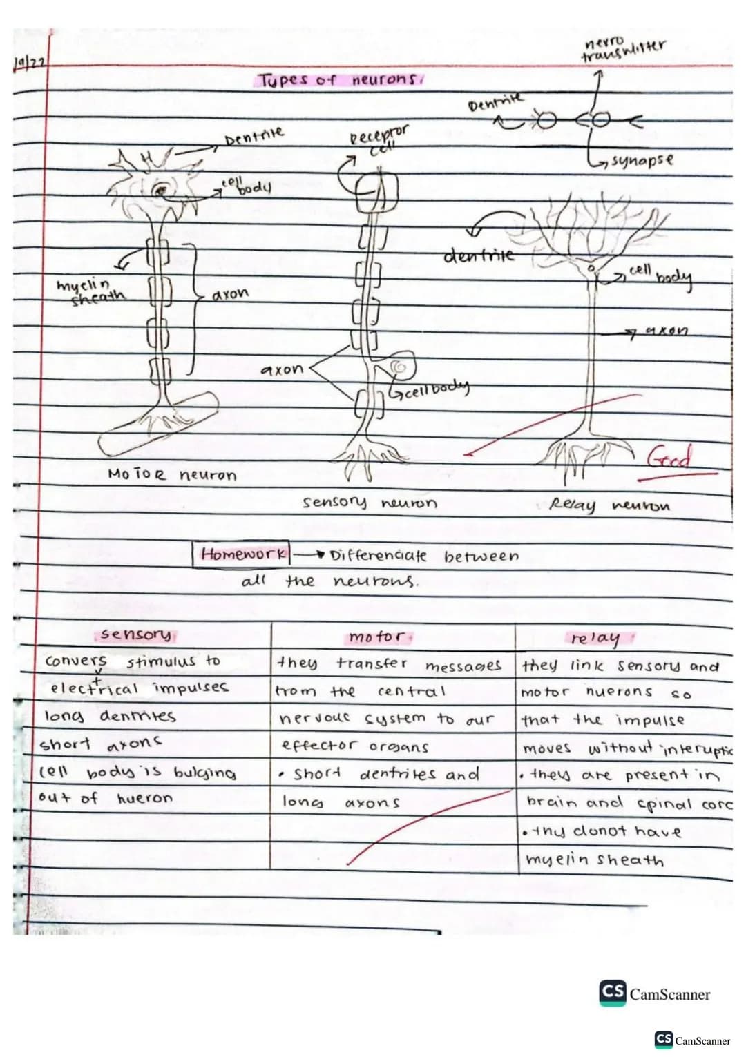 √2/9/22
obj: Define co-ordination and control
keywords
brain
spinal cord
voluntary action
Involuntary action
nerves
response
Stimulus (stimu