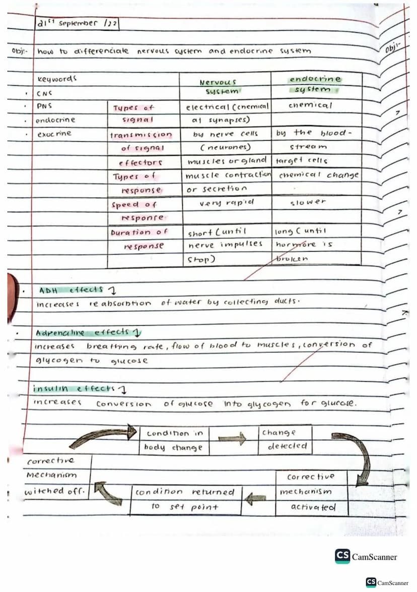 √2/9/22
obj: Define co-ordination and control
keywords
brain
spinal cord
voluntary action
Involuntary action
nerves
response
Stimulus (stimu