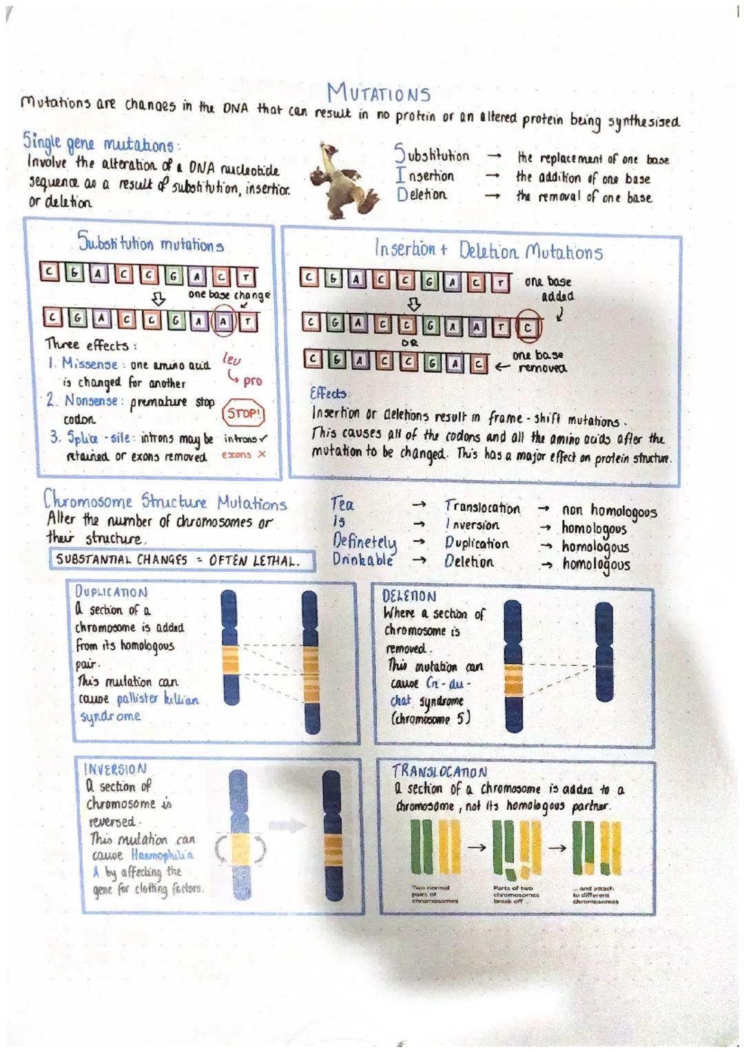 # DIVISION + DIFFERENTIATION IN CELLS

SomANC CELL

Ang cell in the body other than
cells involved in reproduction

0

GERMLINE CELL

Germli