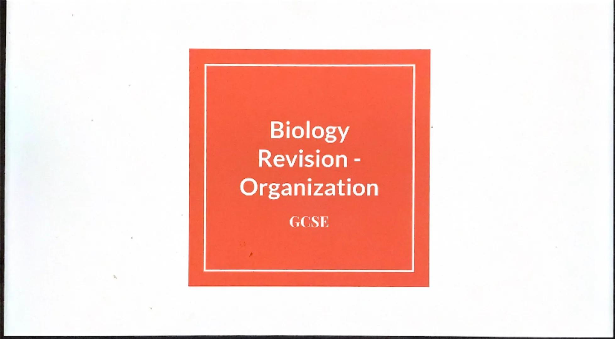 Biology
Revision -
Organization
GCSE Eg.
Stem
Petal
Leaves
Stomach
Organism:
Any living thing,
individual plant,
animal or single
celled org