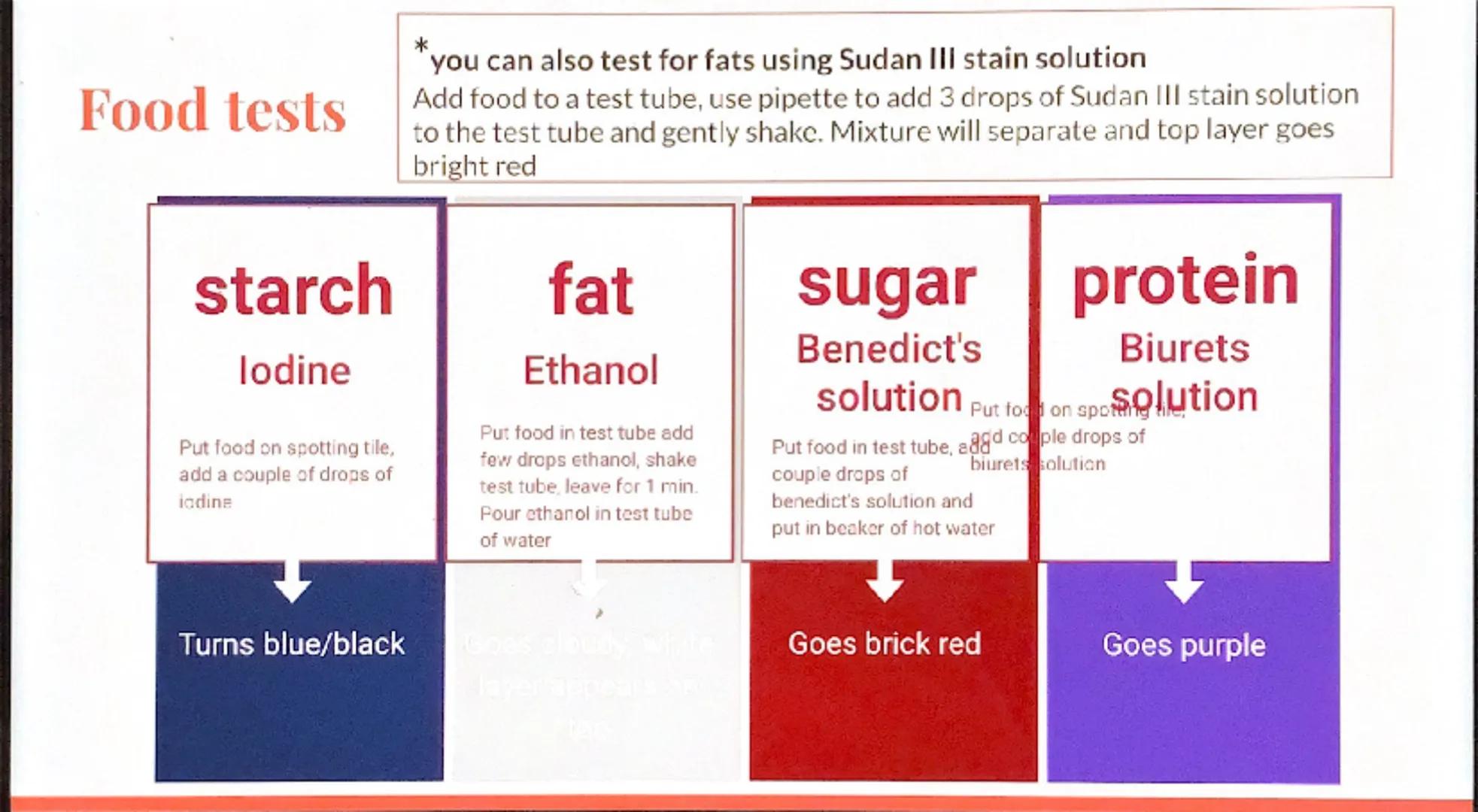 Biology
Revision -
Organization
GCSE Eg.
Stem
Petal
Leaves
Stomach
Organism:
Any living thing,
individual plant,
animal or single
celled org