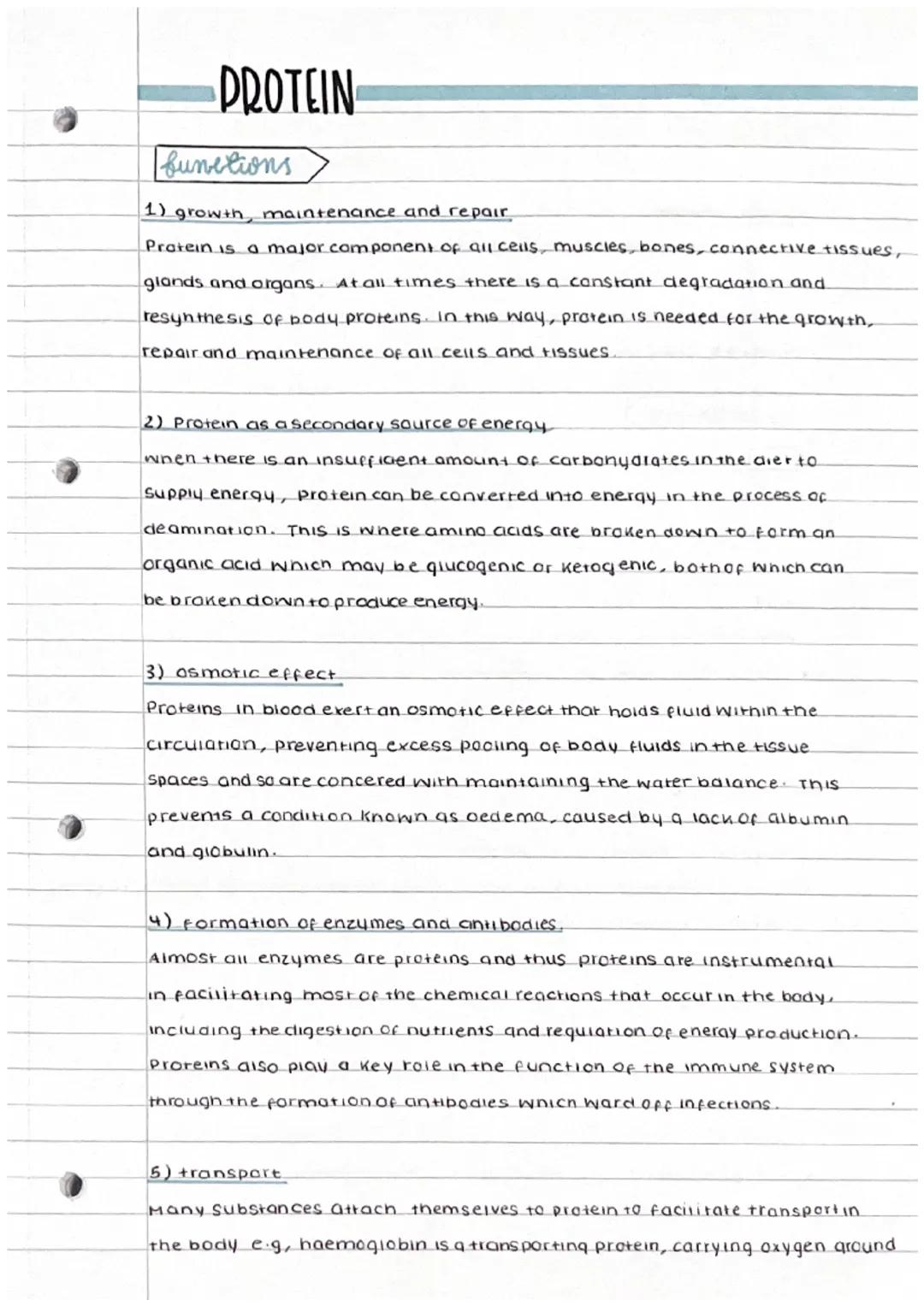 CCEA NUTRITION AND FOOD SCIENCE - PROTEIN