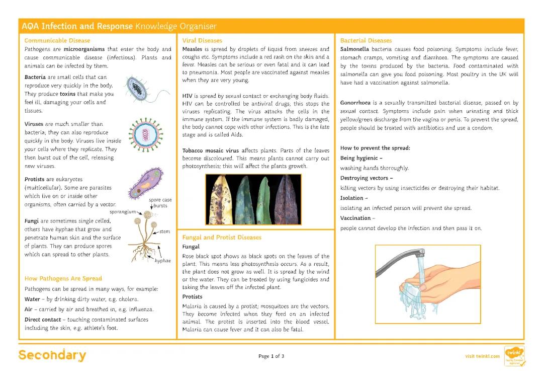 AQA GCSE Infection and Response Knowledge Organiser PDF - Biology Revision, Communicable Diseases