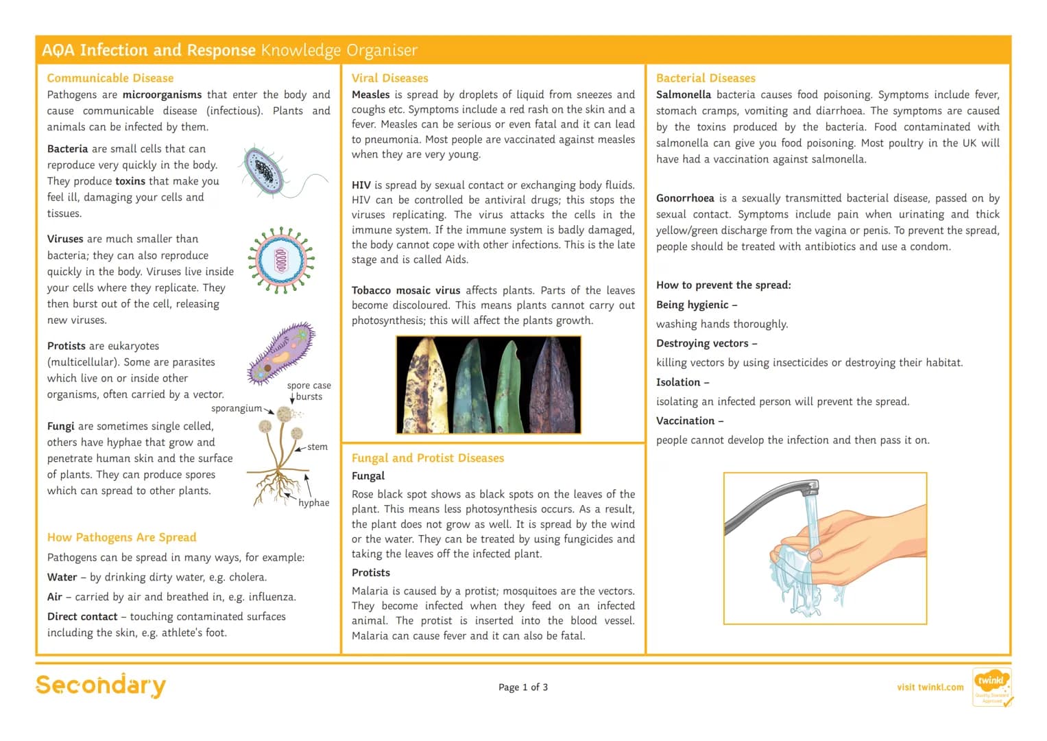 AQA Infection and Response Knowledge Organiser
Communicable Disease
Viral Diseases
Pathogens are microorganisms that enter the body and
caus