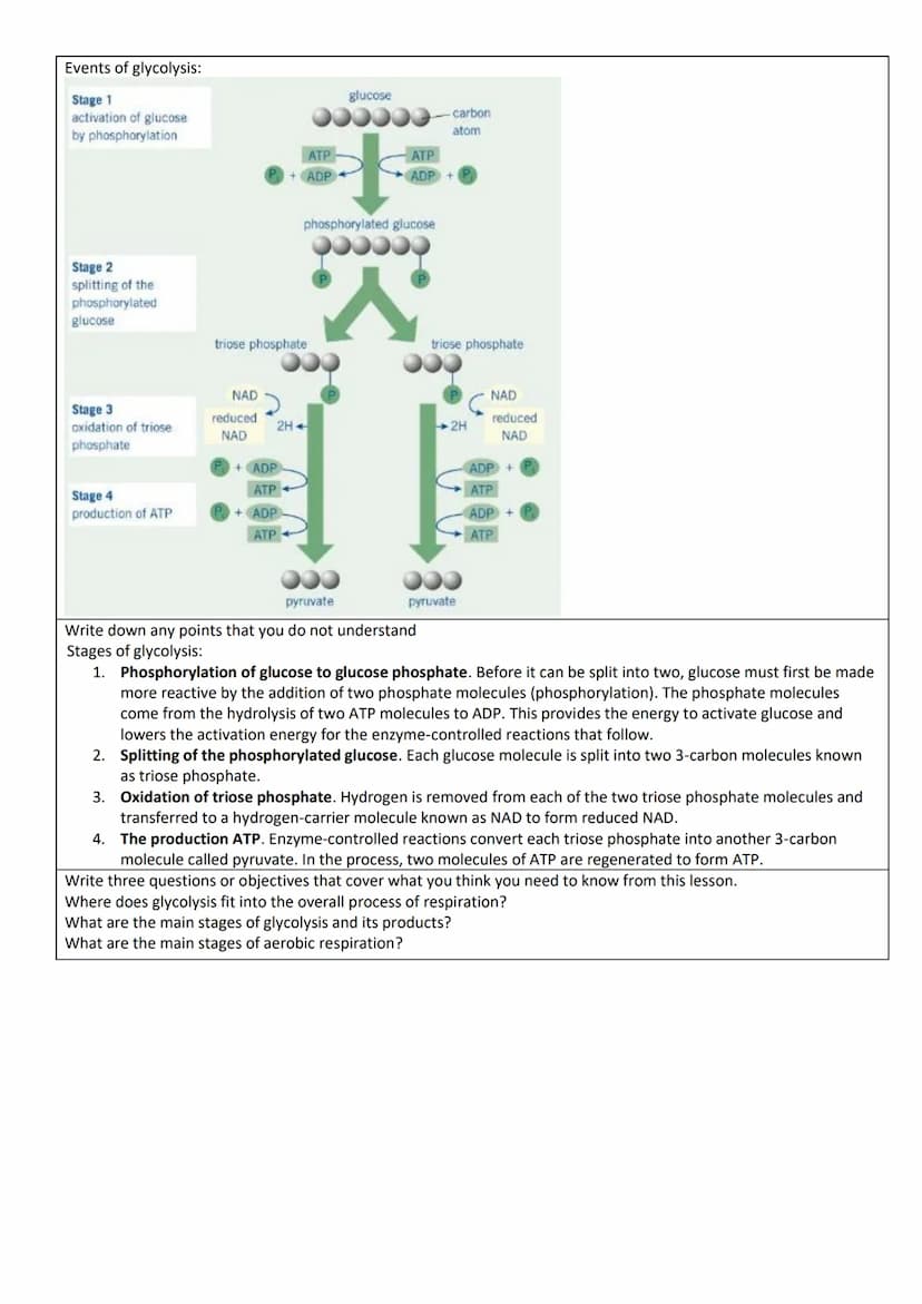 Lesson Title:
Glycolysis
Write the keywords for the lesson and describe them.
Word
Description
Requires oxygen and produces carbon dioxide, 