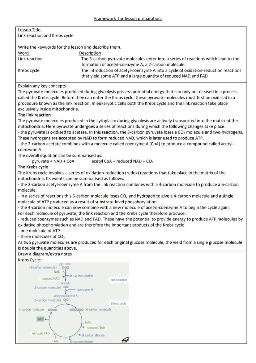 Lesson Title:
Glycolysis
Write the keywords for the lesson and describe them.
Word
Description
Requires oxygen and produces carbon dioxide, 