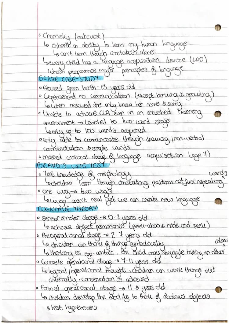 Cognitive theory child language acquisition top
