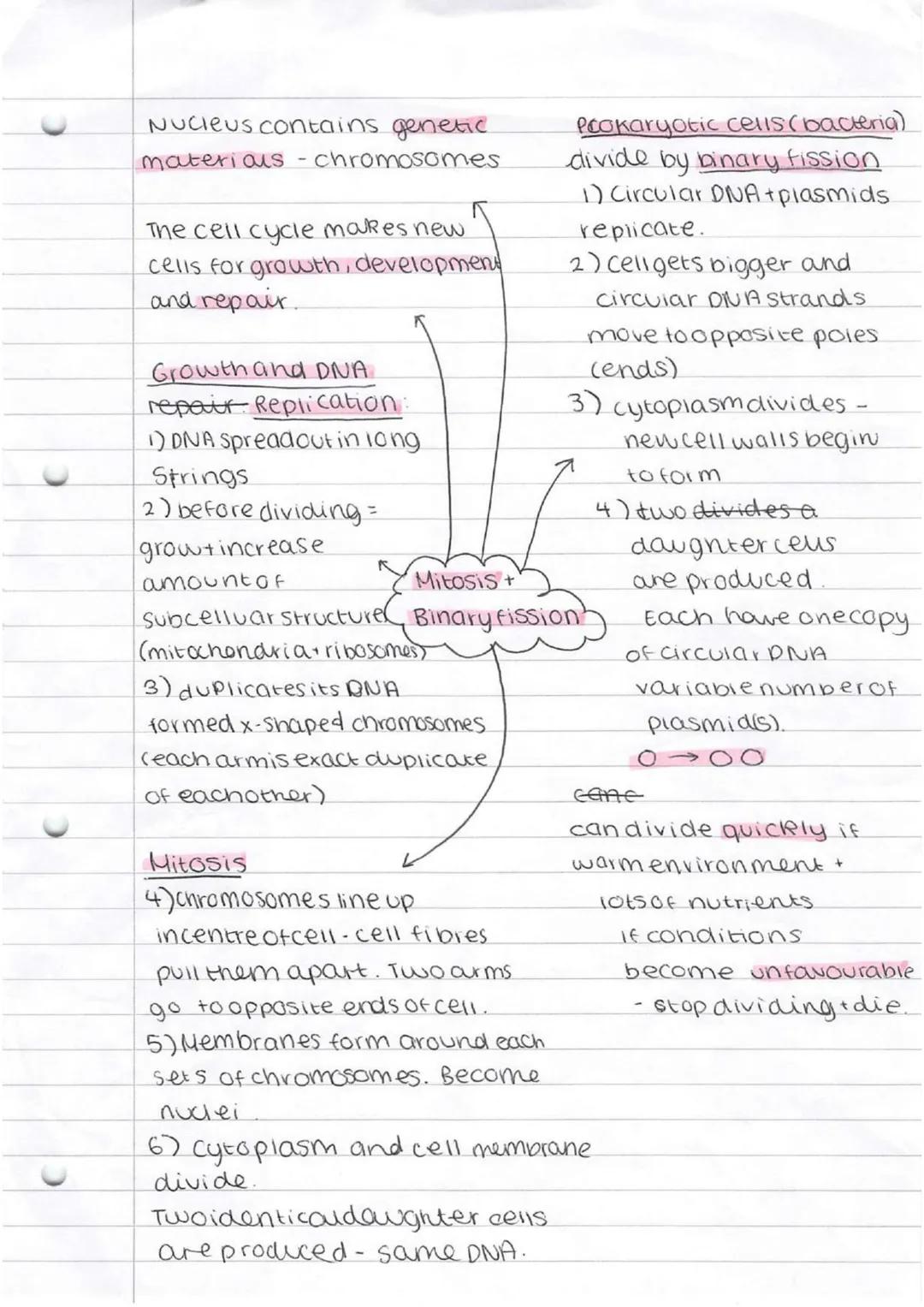 *   bacteria
    *   singlecellorganism

Prokaryotes-smaller simpler - nonucleus

Eurkayotes-complex-nasenucieus

cammal Plant

subeellu lar