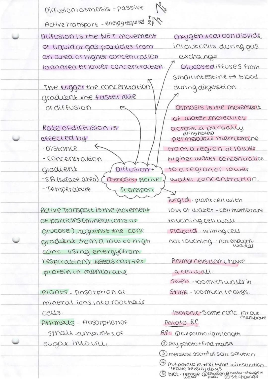 *   bacteria
    *   singlecellorganism

Prokaryotes-smaller simpler - nonucleus

Eurkayotes-complex-nasenucieus

cammal Plant

subeellu lar