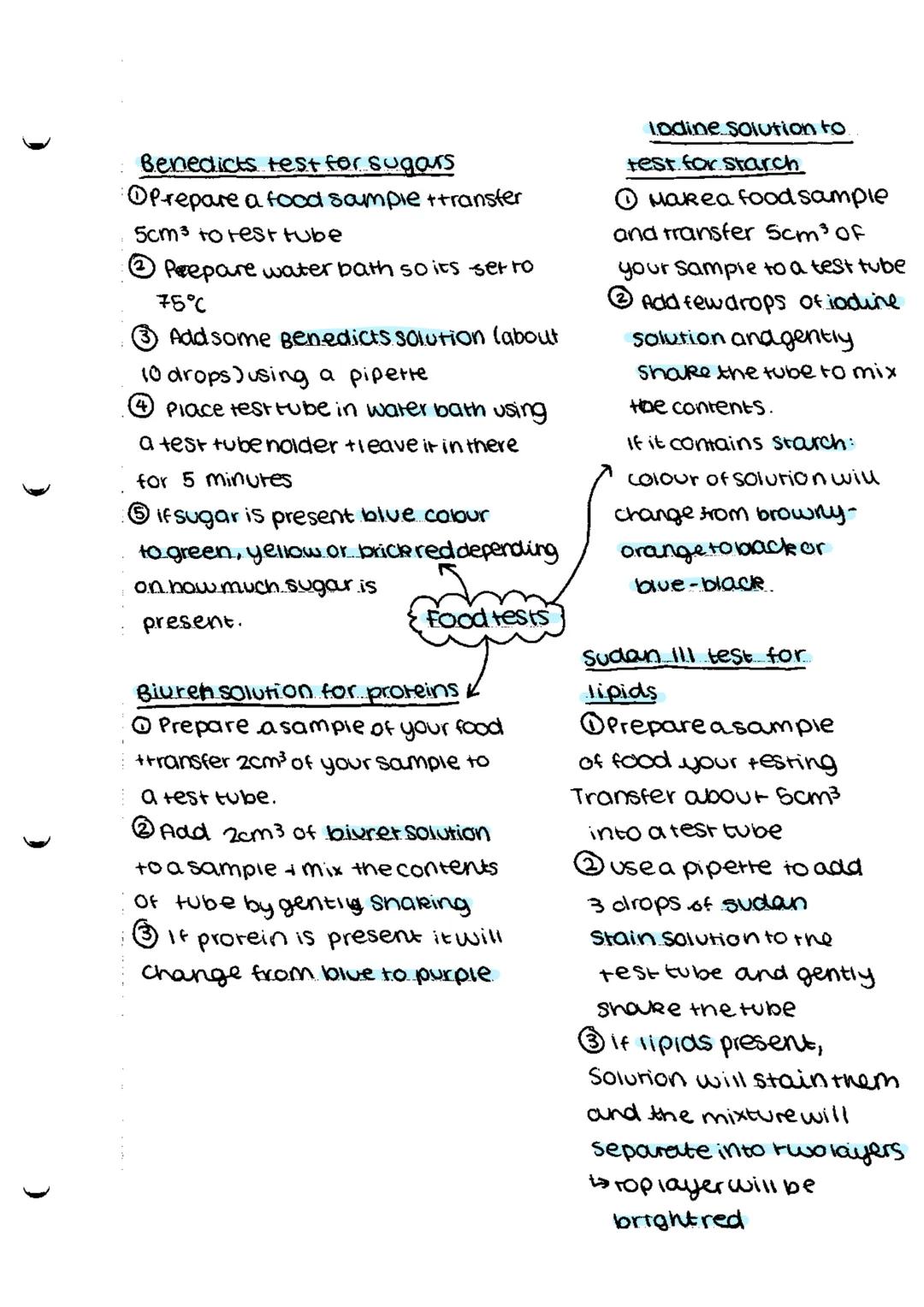 *   bacteria
    *   singlecellorganism

Prokaryotes-smaller simpler - nonucleus

Eurkayotes-complex-nasenucieus

cammal Plant

subeellu lar