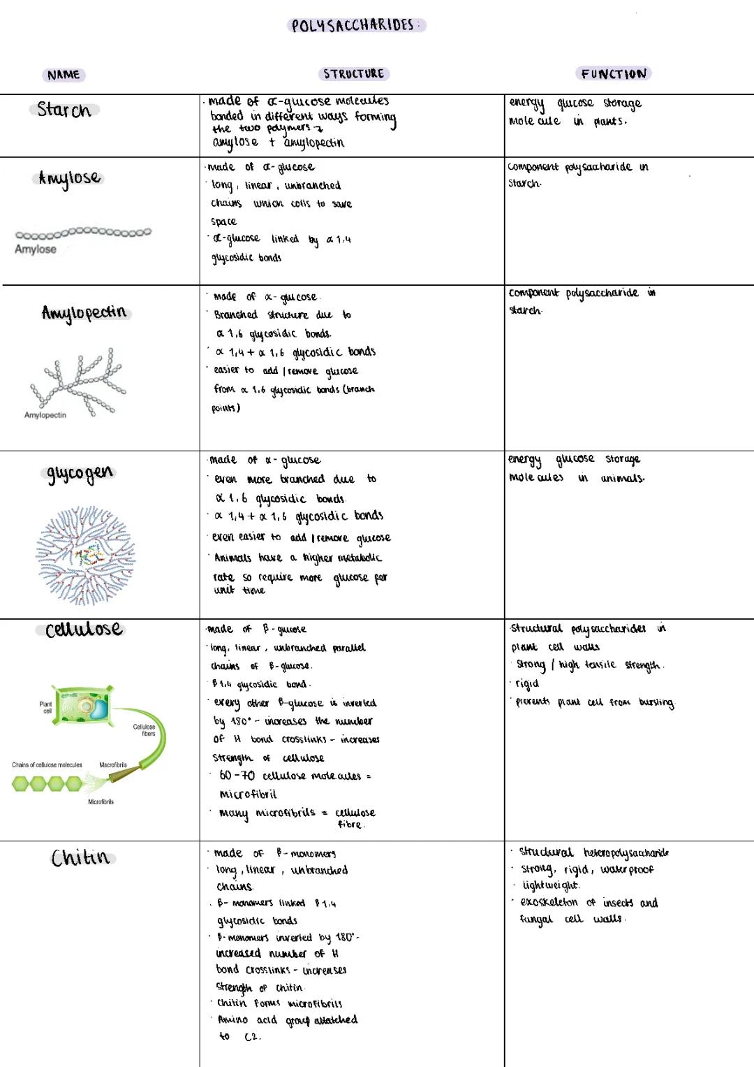 Polysaccharides