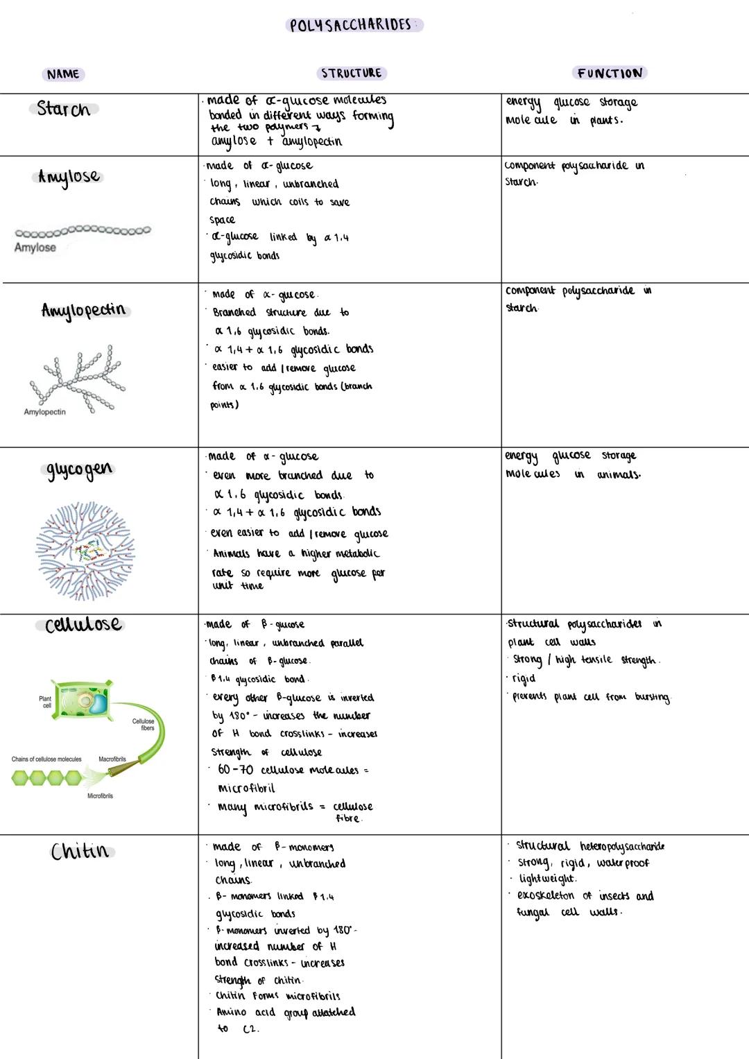 NAME
Starch
Amylose
Amylose
Amylopectin
Amylopectin
glycogen
cellulose
Plant
cell
Chains of cellulose molecules
0000
Macrofibrils
Microfibri