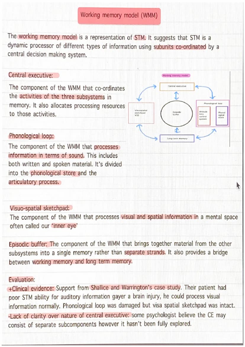 Duration of memory- STM
Peterson and Peterson (1959) set out to test the duration of the STM
It was a lab experiment where 24 psychology stu