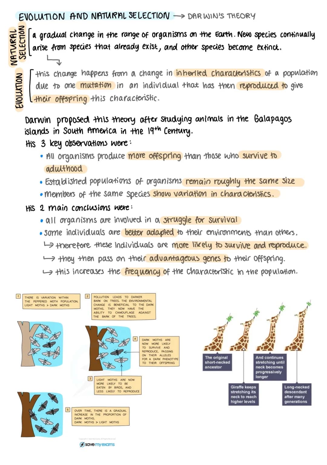 
<h2 id="variation">Variation</h2>
<p>A genetic variation is the difference in DNA sequences of individuals within the same species. Random 