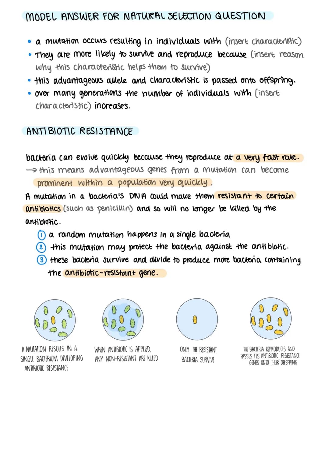 
<h2 id="variation">Variation</h2>
<p>A genetic variation is the difference in DNA sequences of individuals within the same species. Random 