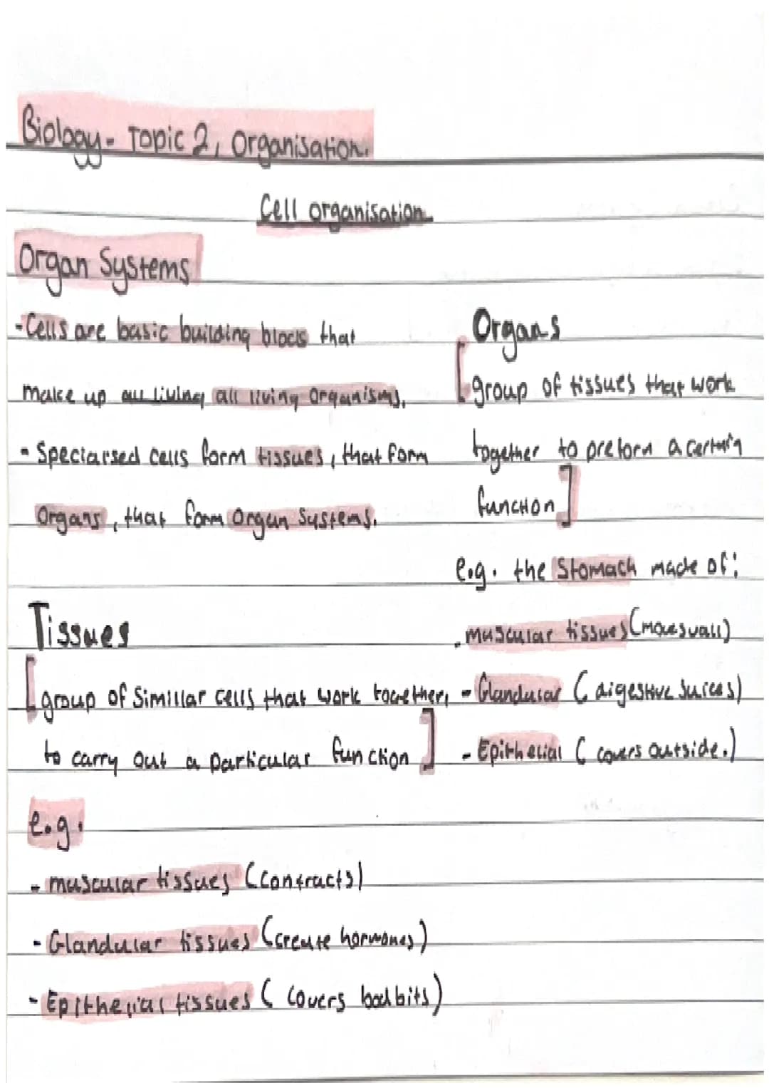 Biology-Topic 2, Organisation.
Cell organisation
Organ Systems
-Cells are basic building blods that
Organs
make up all living all living Org