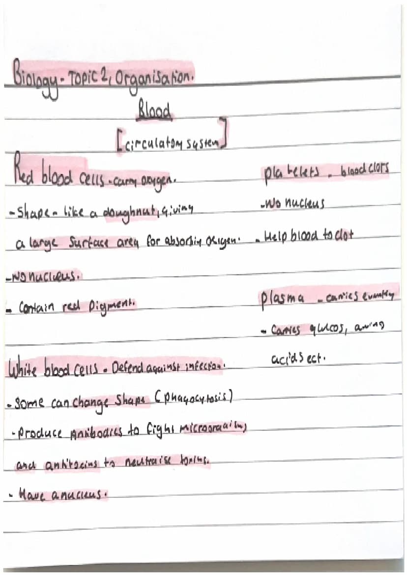 Biology-Topic 2, Organisation.
Cell organisation
Organ Systems
-Cells are basic building blods that
Organs
make up all living all living Org