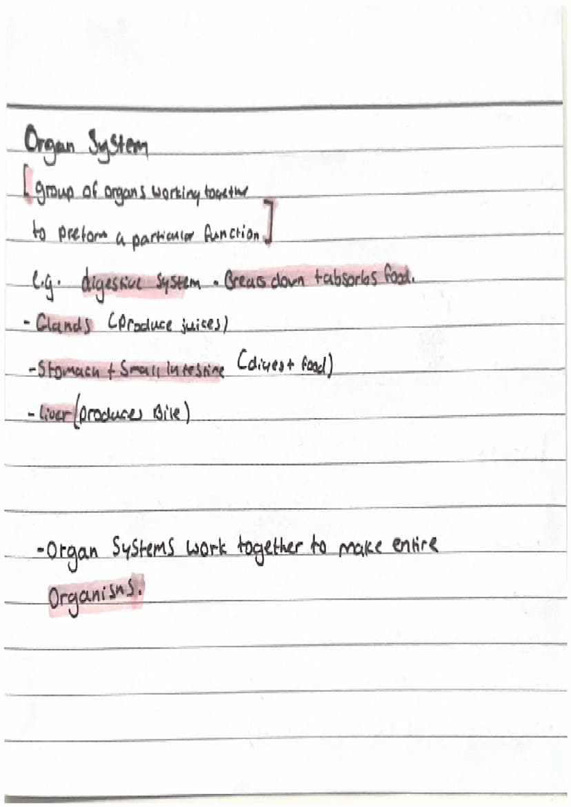 Biology-Topic 2, Organisation.
Cell organisation
Organ Systems
-Cells are basic building blods that
Organs
make up all living all living Org