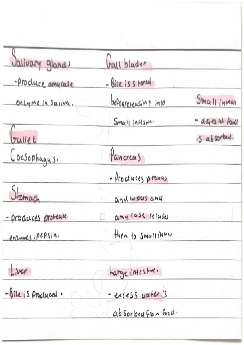 Biology-Topic 2, Organisation.
Cell organisation
Organ Systems
-Cells are basic building blods that
Organs
make up all living all living Org
