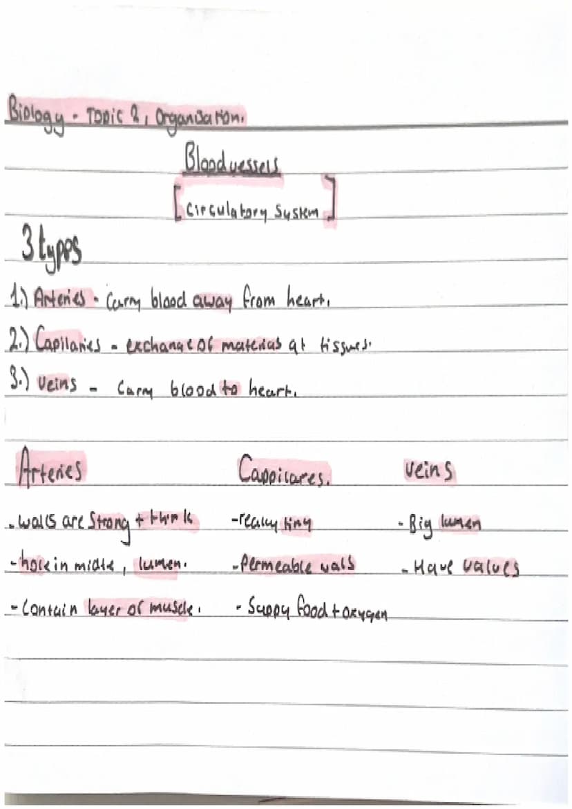 Biology-Topic 2, Organisation.
Cell organisation
Organ Systems
-Cells are basic building blods that
Organs
make up all living all living Org
