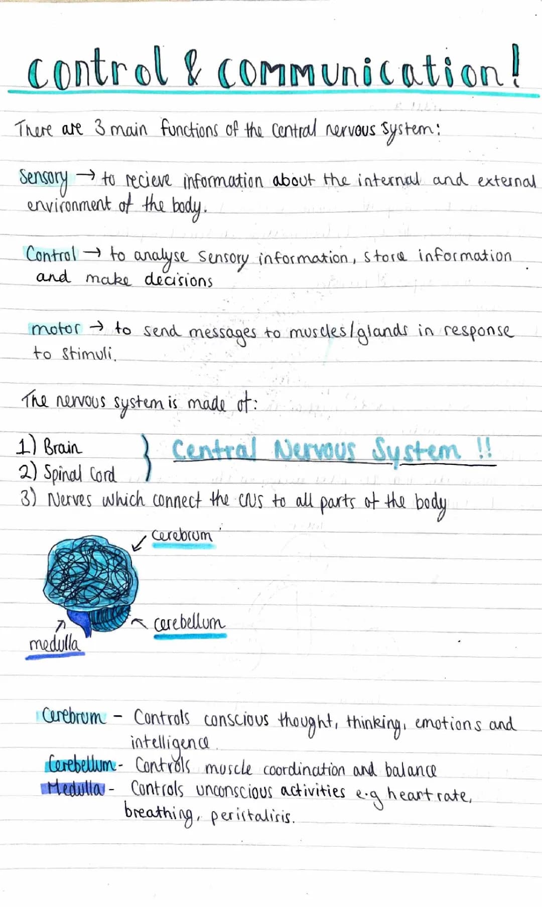 Nat 5 Biology Notes