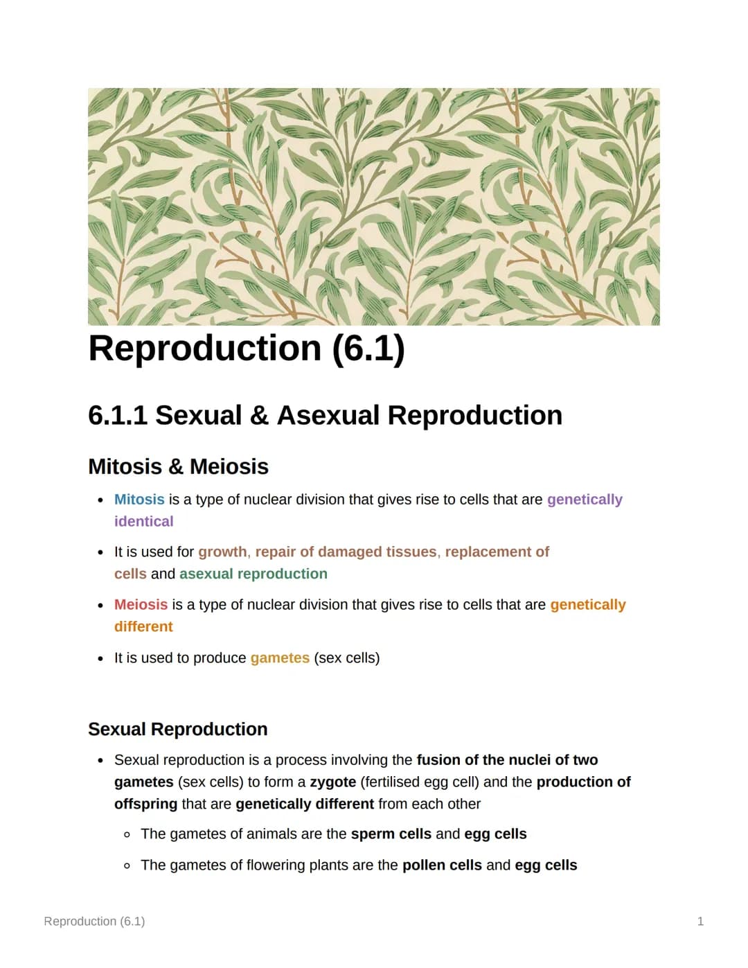 Reproduction (6.1)
6.1.1 Sexual & Asexual Reproduction
Mitosis & Meiosis
• Mitosis is a type of nuclear division that gives rise to cells th