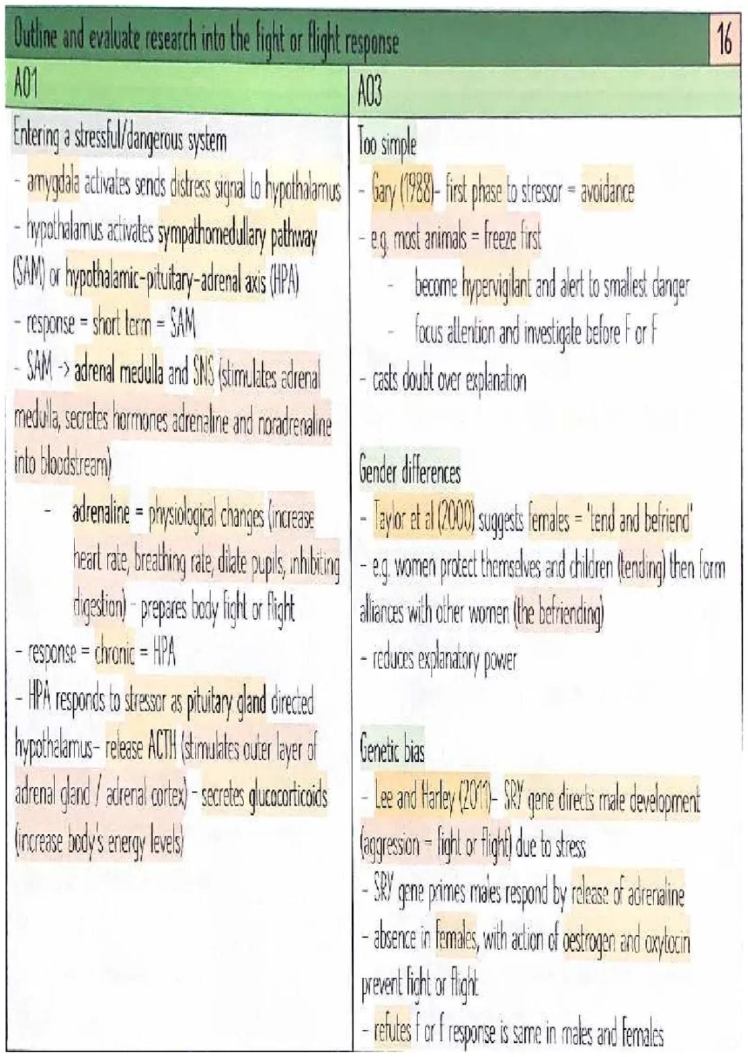 AQA Psychology: Fight or Flight Response & Localisation of Brain Function Essay Plans