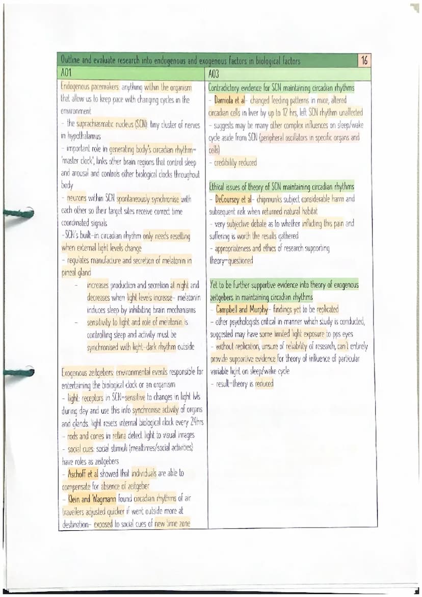 Outline and evaluate research into the fight or flight response
A01
A03
Too simple
- Gary (1988)- first phase to stressor = avoidance
=
eg. 