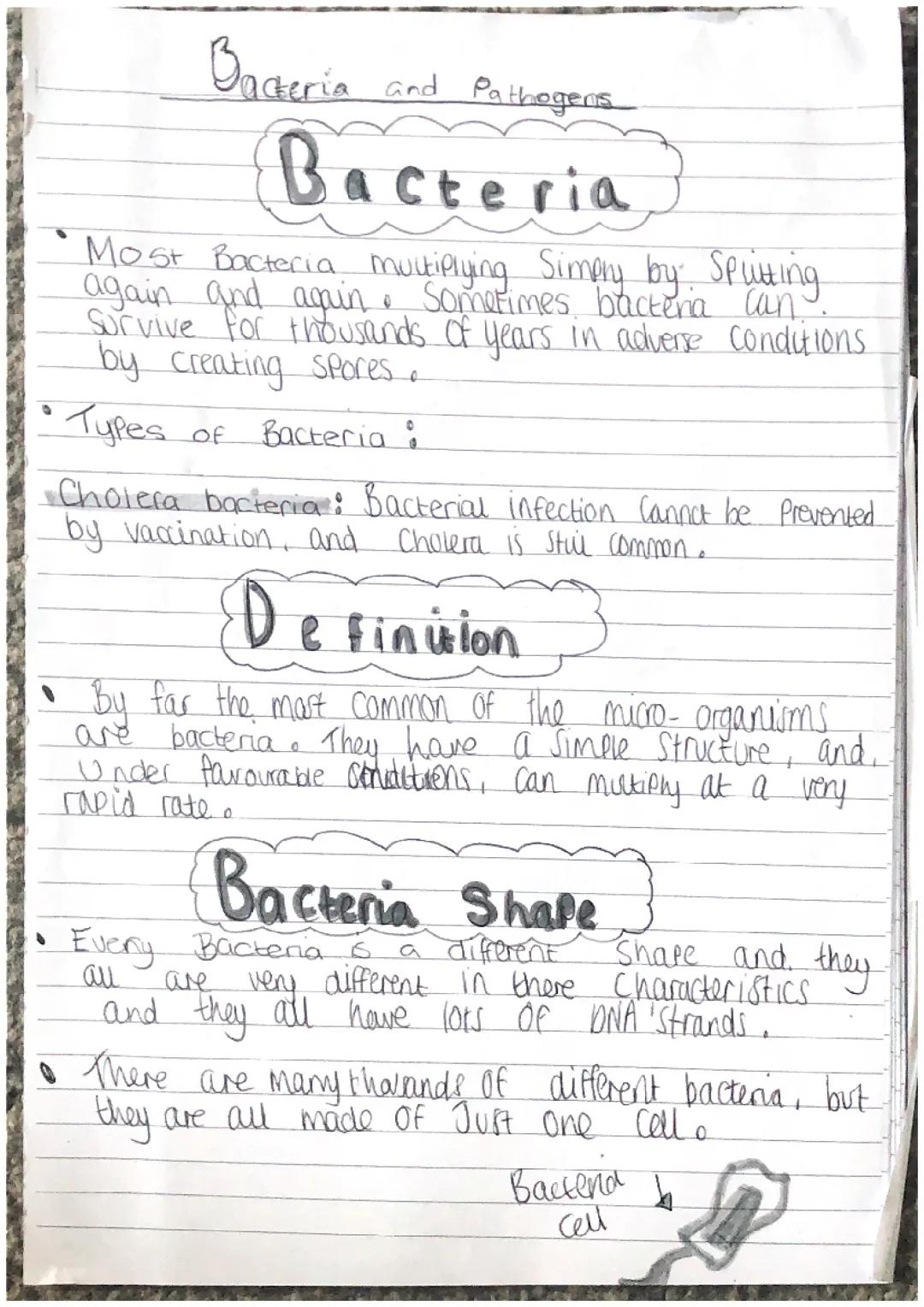 Bacteria and pathogens 