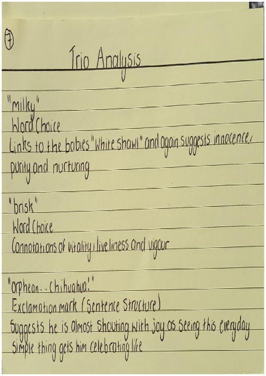 The Analysis
"trio"
Word Choice
Connotations of three people playing music together /in harmony
With one / three kings / Wise men from the N