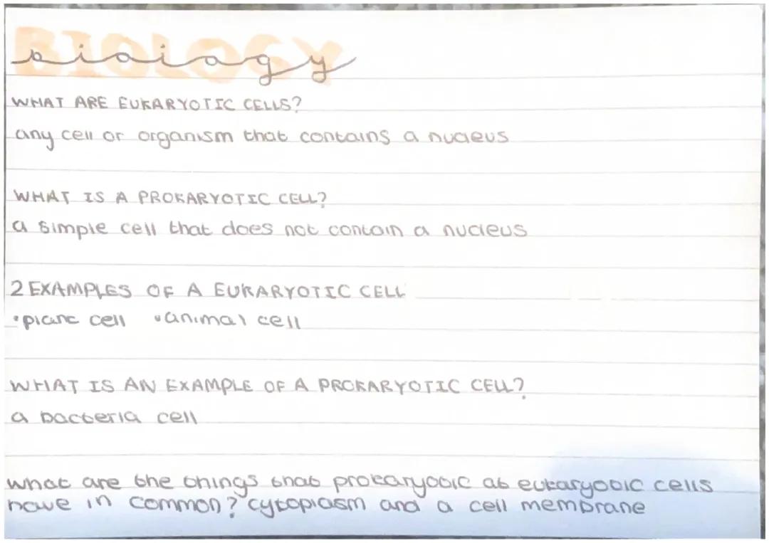 different types of cells