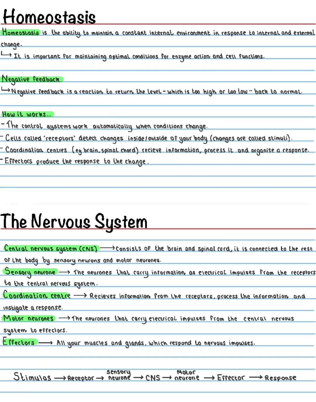 5 - Homeostasis and Response 