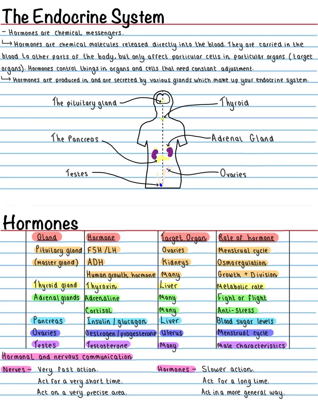 Homeostasis
Homeostasis is the ability to maintain a constant internal environment in response to internal and external
change.
↳ It is impo