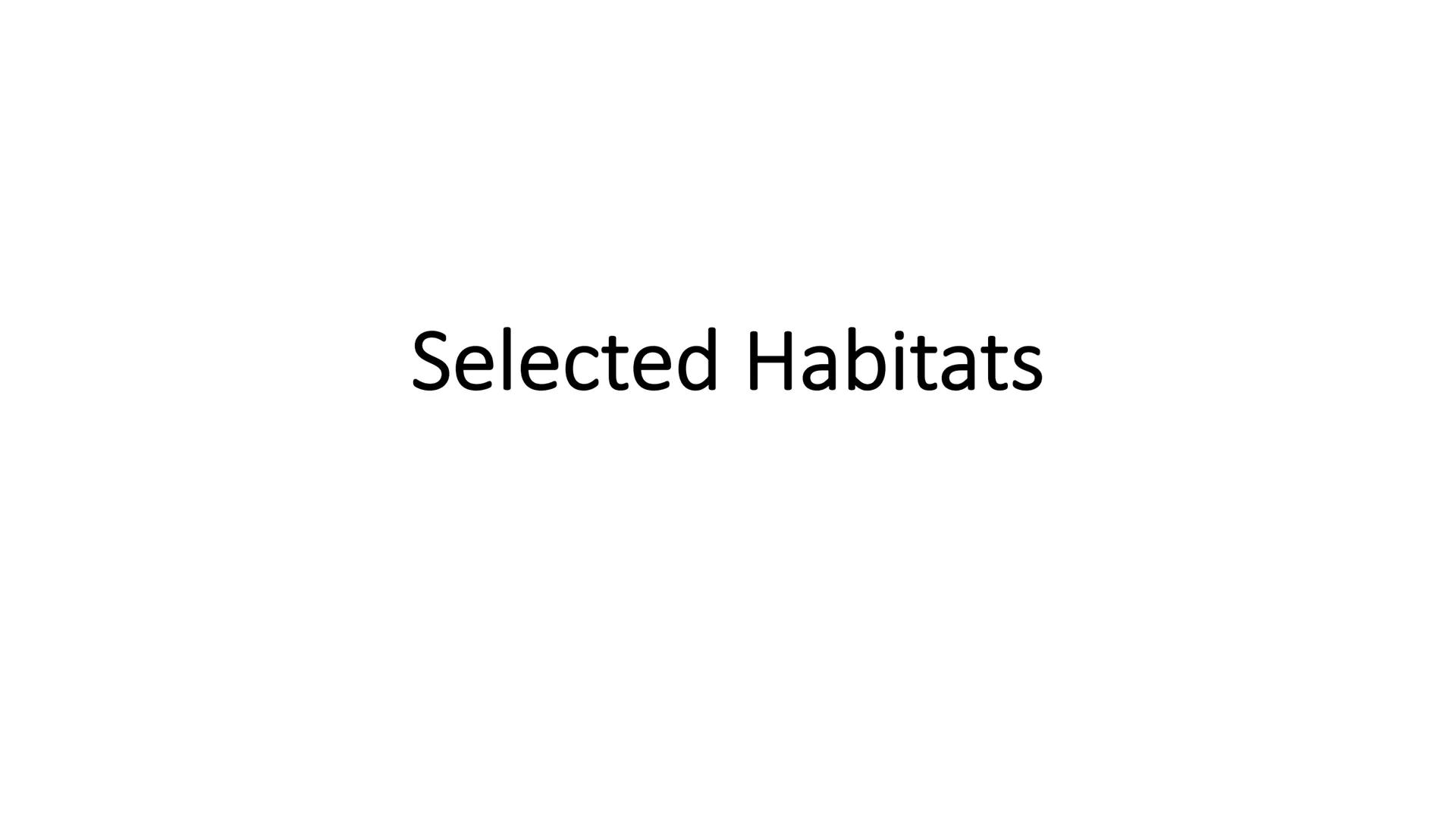 # Selected Habitats Temperate broadleaf woodlands

Aspect | Examples | Explanation
------- | -------- | --------
Features | Regular water su