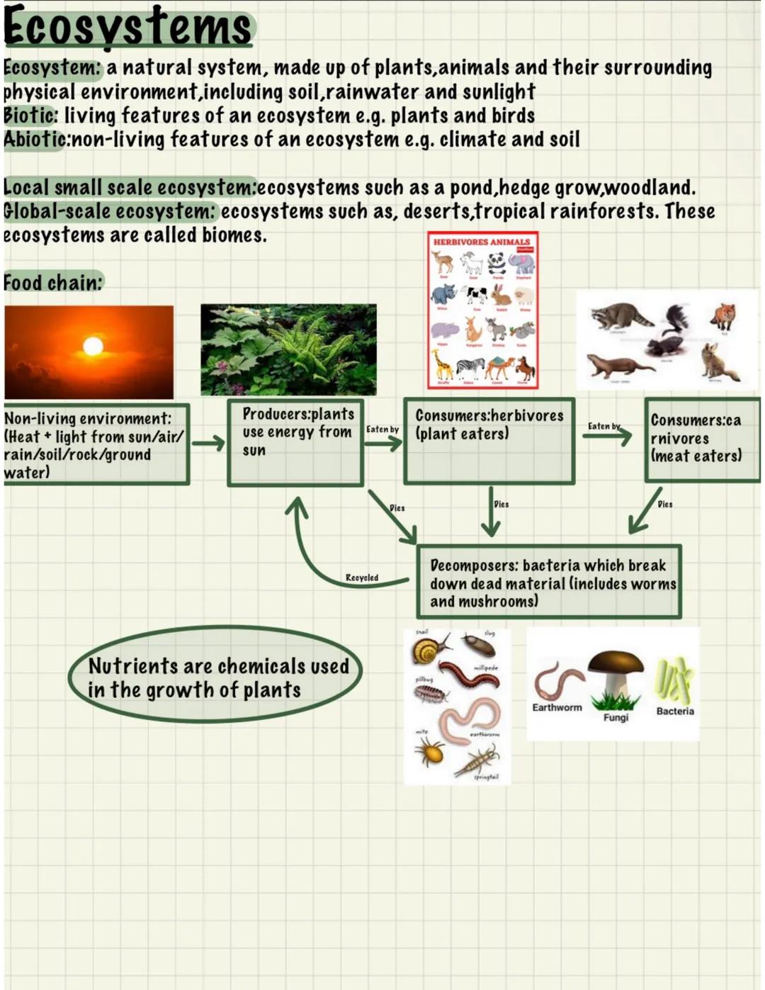 # Ecosystems
Ecosystem: a natural system, made up of plants, animals and their surrounding
physical environment, including soil, rainwater a