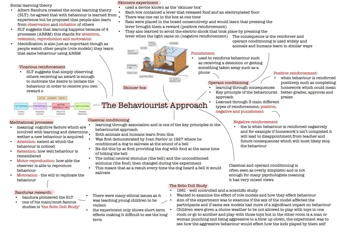Behaviorist and Social Learning Theory Study Guide: PDF, Quizlet, and More for Kids