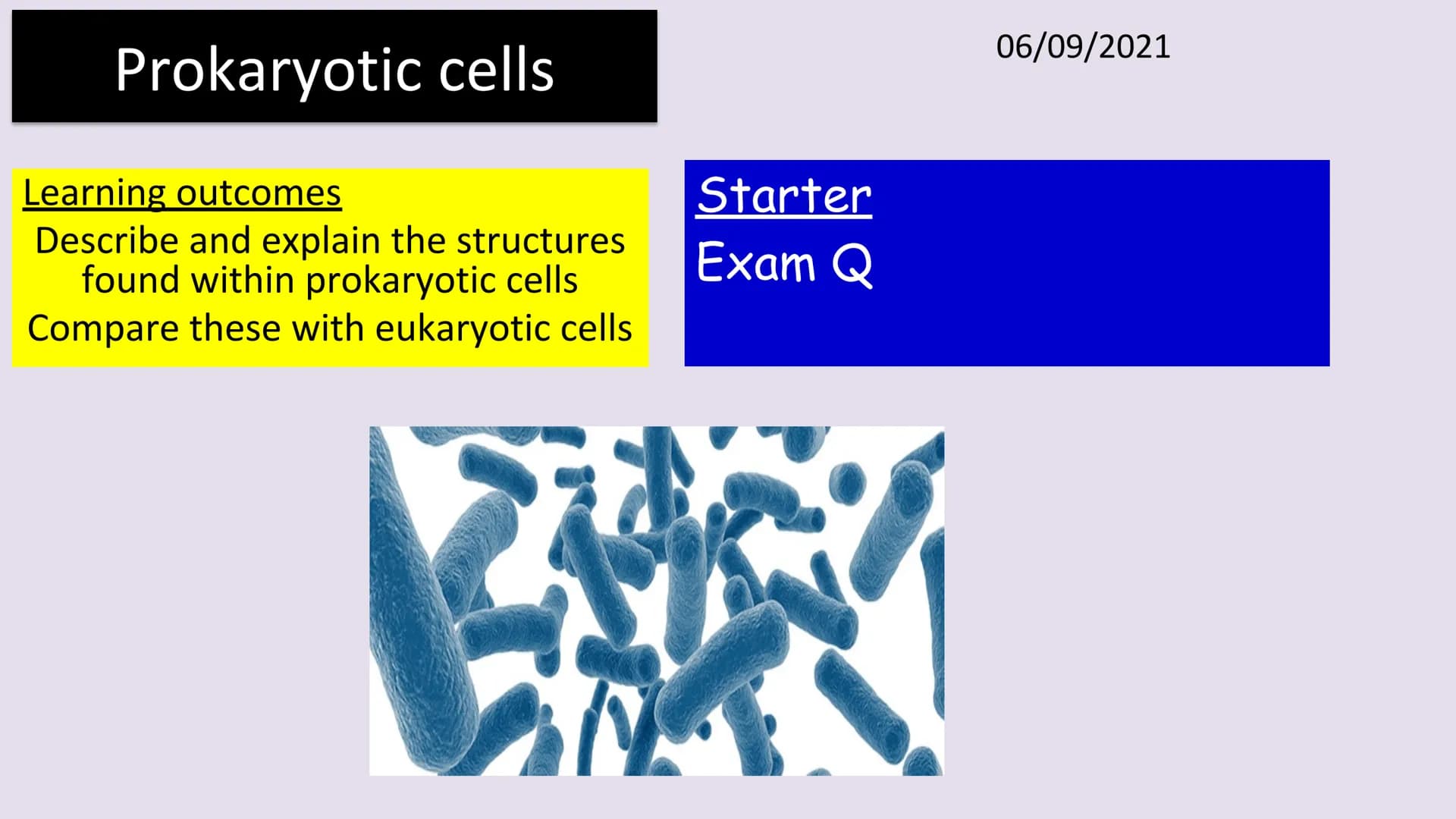 3.2.1.2 Structure of prokaryotic cells and of viruses
Content
Prokaryotic cells are much smaller than eukaryotic cells. They also
differ fro