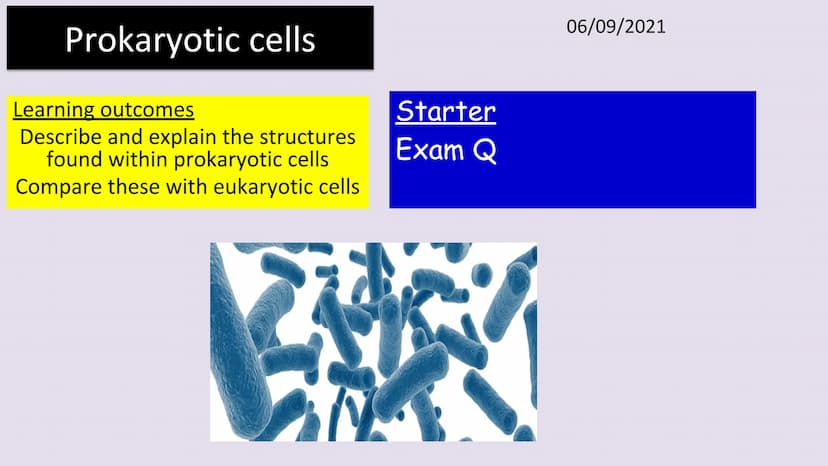 3.2.1.2 Structure of prokaryotic cells and of viruses
Content
Prokaryotic cells are much smaller than eukaryotic cells. They also
differ fro