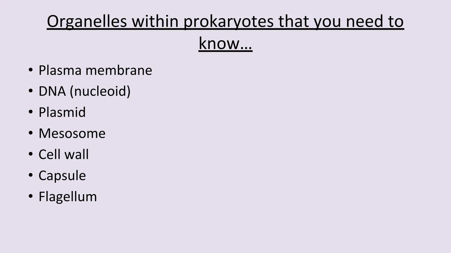 3.2.1.2 Structure of prokaryotic cells and of viruses
Content
Prokaryotic cells are much smaller than eukaryotic cells. They also
differ fro