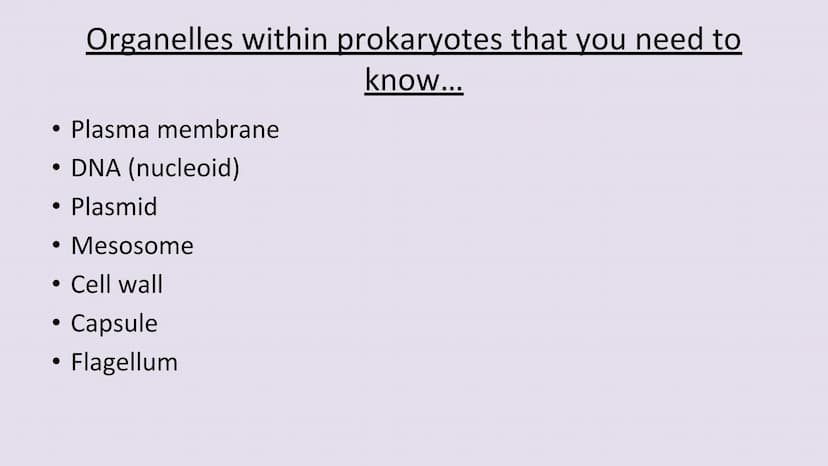 3.2.1.2 Structure of prokaryotic cells and of viruses
Content
Prokaryotic cells are much smaller than eukaryotic cells. They also
differ fro