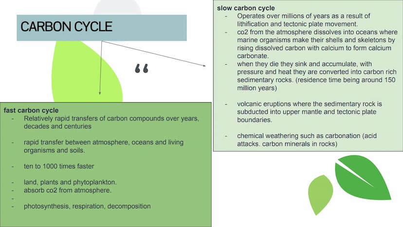 
<p>Water is a crucial component in creating benign thermal conditions on earth. Oceans occupy 71% of the earth's surface, moderating temper