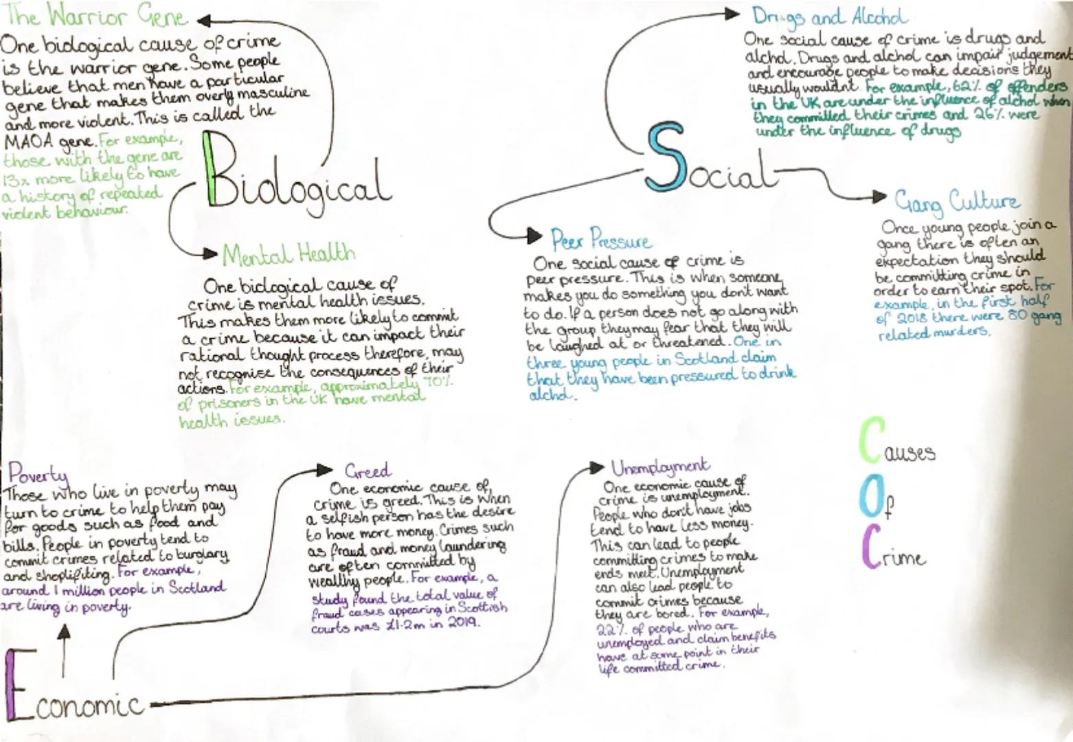 The Warrior Gene
One biological cause of crime
is the warrior gene. Some people
believe that men have a particular
gene that makes them over