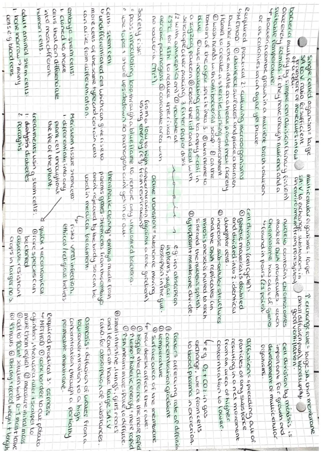 Single celled organism= large
SA tov ratio for sufficient
transport of molecules intout
bacteria
multiply by simple cell division (binary (i