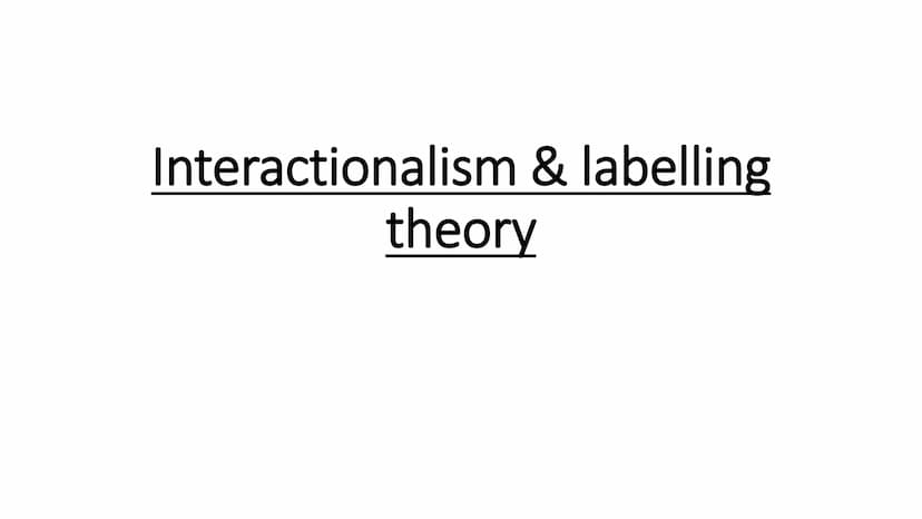 
<h2 id="functionaliststrainsubculturaltheories">Functionalist, Strain &amp; Subcultural Theories</h2>
<h3 id="boundarymaintenance">Boundary