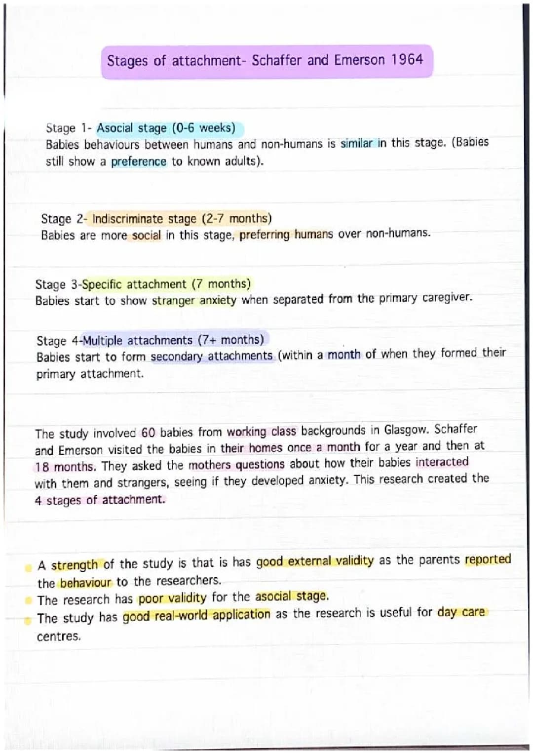 Free AQA Psychology Attachment Notes & Exam Tips