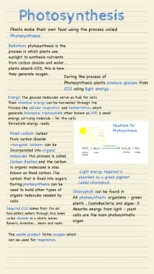 Know photosynthesis  thumbnail