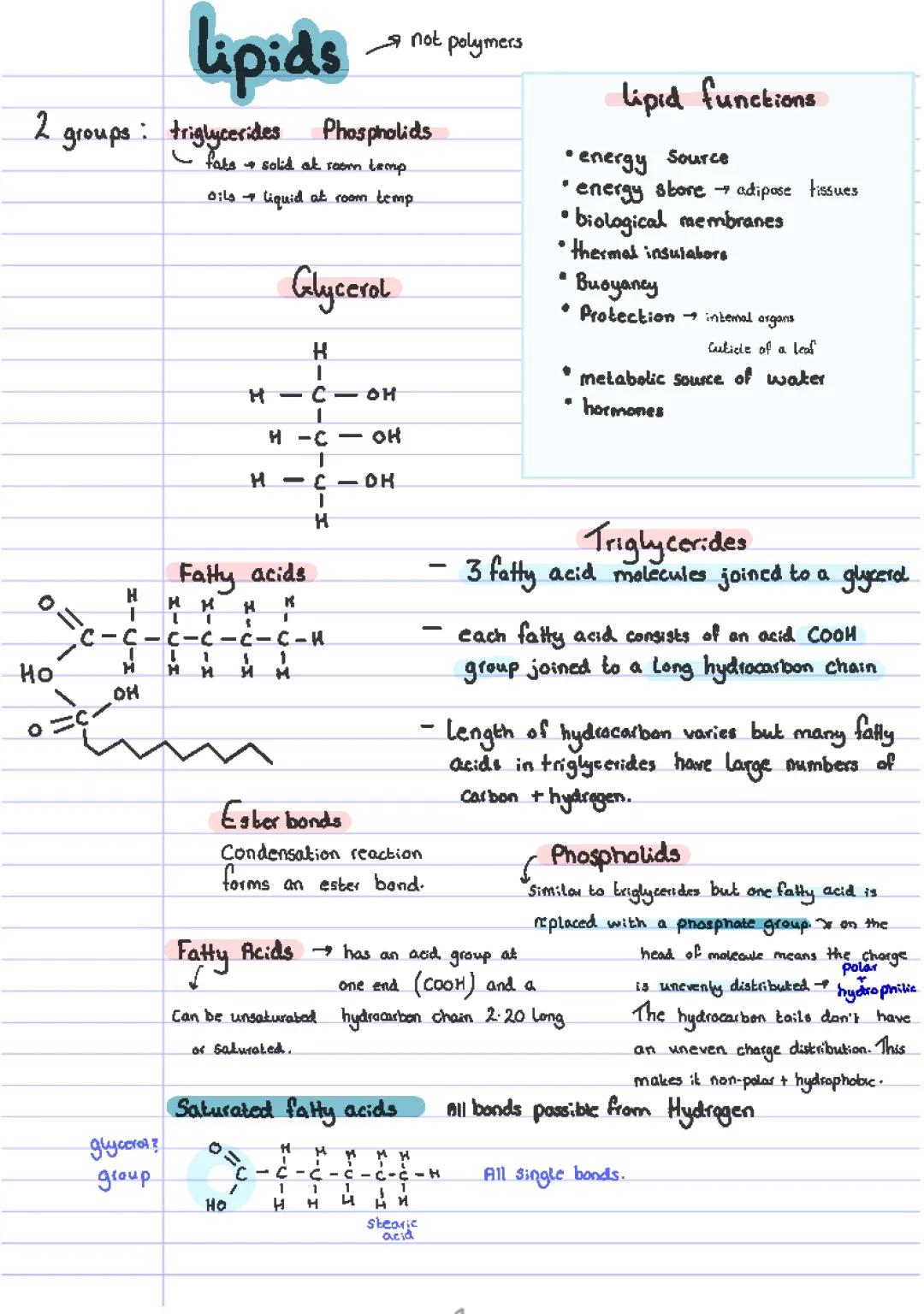 LIPIDS OCR 
